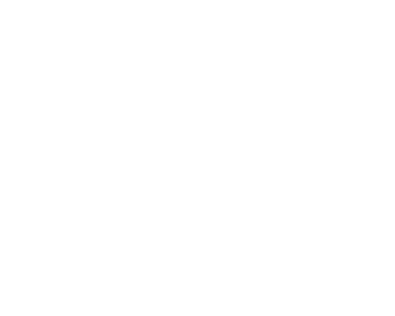 BiTronics Lab